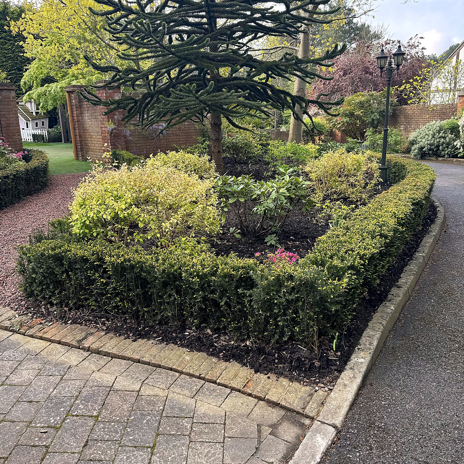 Fresh lawn and planted borders against a new fence line.